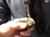 Controllo presenza di carbonati nel suolo